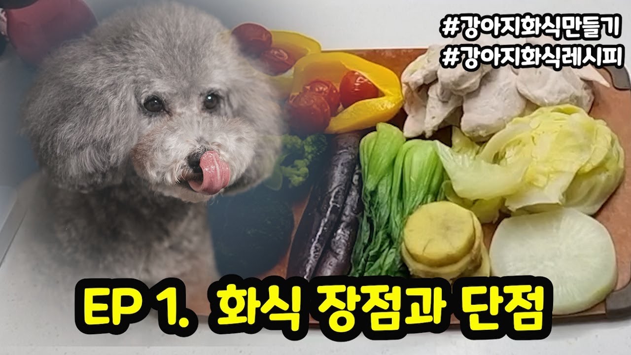 Ep1 - 강아지 화식 장점과 단점은?? 그리고 강아지가 반드시 먹여야 할 야채, 채소 10가지/ 【강아지화식만들기│짱아까미화식】 -  Youtube