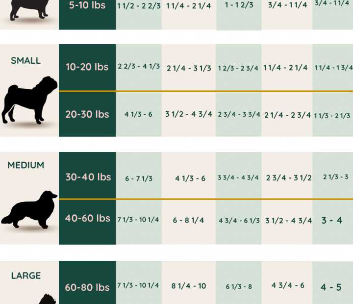 Dog Feeding 101: How Much Should I Feed My Dog? | Dogsnob