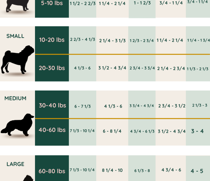 How Much Should A 40 Lb Dog Eat Per Day: Feeding Guidelines