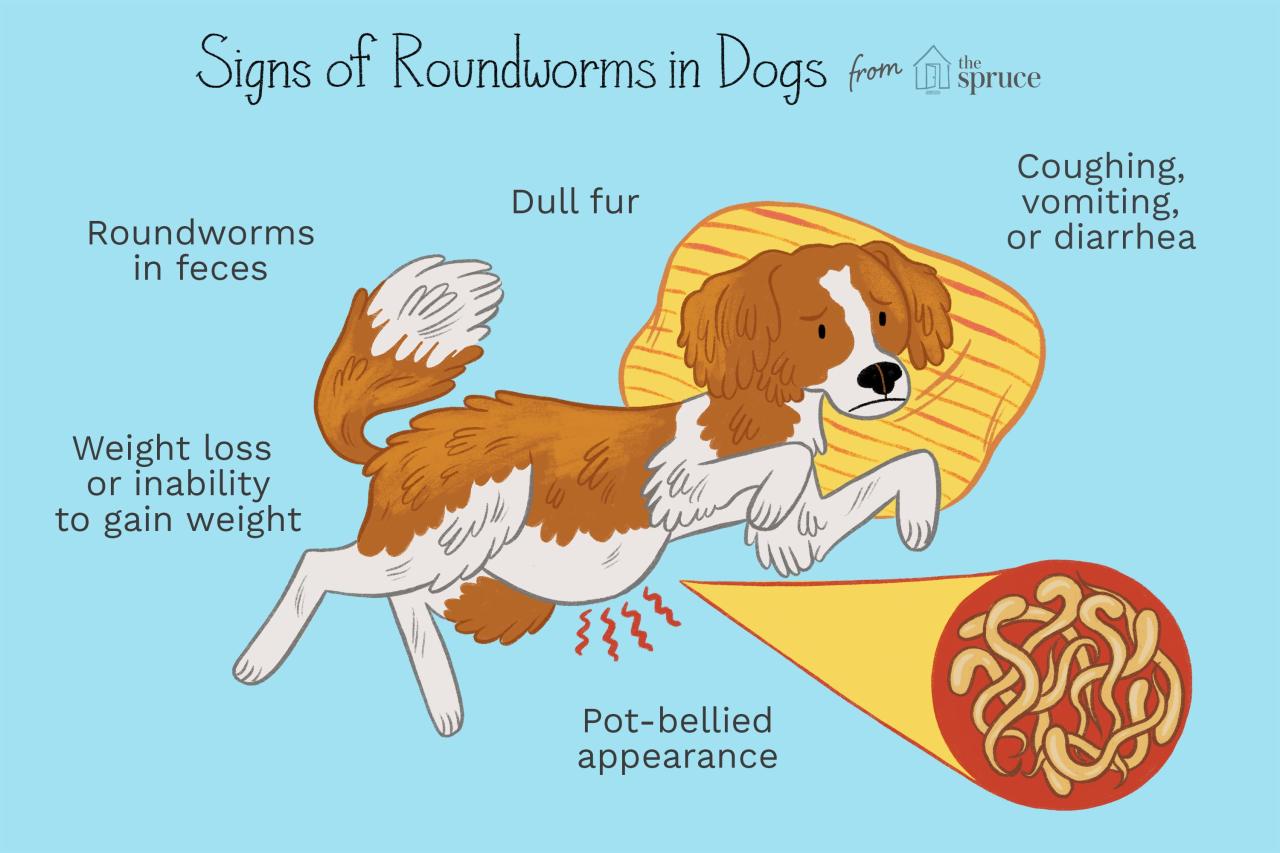 Do I Need To Treat My Yard If My Dog Has Worms? A Must-Read For Pet Owners