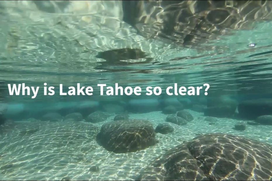 Why Is Lake Tahoe So Clear? - Youtube